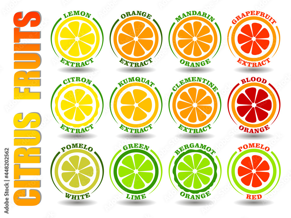 Creative concept set of round cartoon logos with citrus fruits icons. Flat illustration symbols of Orange, Lemon, Lime, Grapefruit, Pomelo, Mandarin, Bergamot, Kumquat, Clementine vector circle signs Creative concept set of round cartoon logos with citrus fruits icons. Flat illustration symbols of Orange, Lemon, Lime, Grapefruit, Pomelo, Mandarin, Bergamot, Kumquat, Clementine vector circle signs