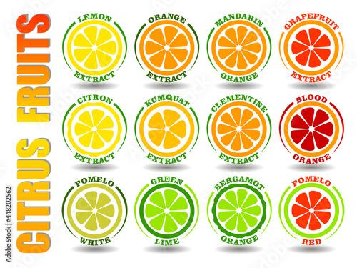 Creative concept set of round cartoon logos with citrus fruits icons. Flat illustration symbols of Orange, Lemon, Lime, Grapefruit, Pomelo, Mandarin, Bergamot, Kumquat, Clementine vector circle signs