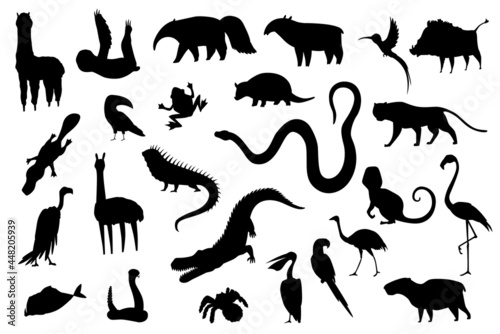 Silhouette animals of south america. Nature fauna collection. Geographical local fauna. Mammals living on continent. Vector illustration