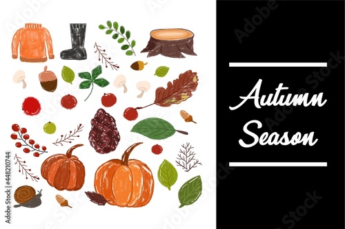 watercolor autumn season. Set of autumn decoration element isolated on white background. set of autumn nature elements in a watercolor style