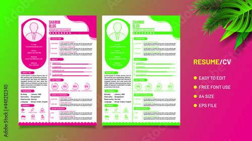 Beautiful cv resume template stylish design