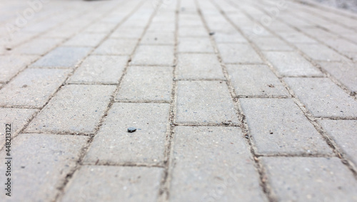 Concrete paving slabs as an abstract background.