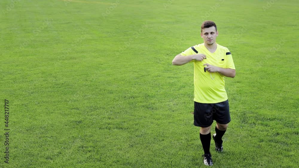 Soccer referee showing penalty, yellow and red card, removes the player . Concept of sport, rules violation, offside. Soccer referee showing penalty, yellow and red card, removes the player . Concept of sport, rules violation, offside.