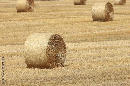 小麦ロール　小麦　ロール　麦稈ロール　収穫