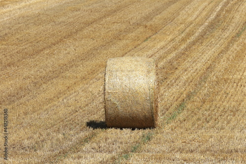 小麦ロール　小麦　ロール　麦稈ロール　収穫