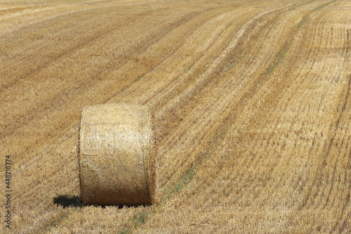 小麦ロール　小麦　ロール　麦稈ロール　収穫