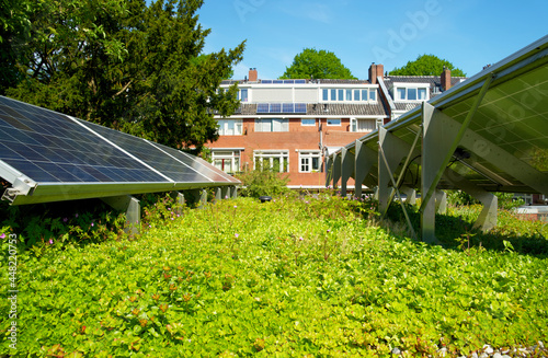 Solar panels on a sedum green rooftop garden on behalf of climate adaptation. Photo voltaic panels on a green roof. Groene daktuin, groen dak. 
