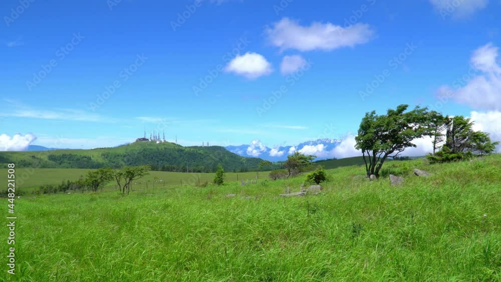 夏の美ヶ原高原