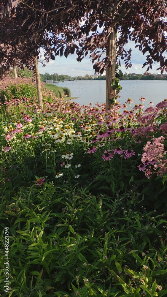 Obraz premium flowers in the garden