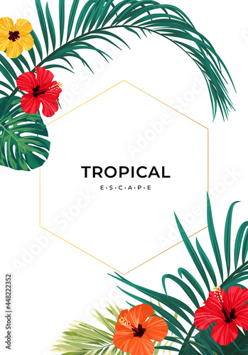Summer tropical background ...