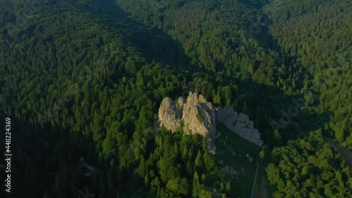 Camera above the forest and blue sky