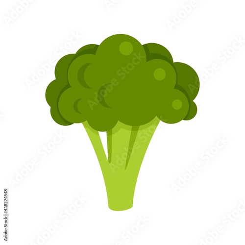 Broccoli cabbage icon flat isolated vector