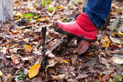 A foot in a rubber boot cleans the stuck dirt from the sole on a metal, forged shoe scraper in the backyard with fallen autumn leaves. 