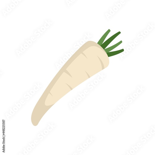 Ingredient parsnip icon flat isolated vector photo
