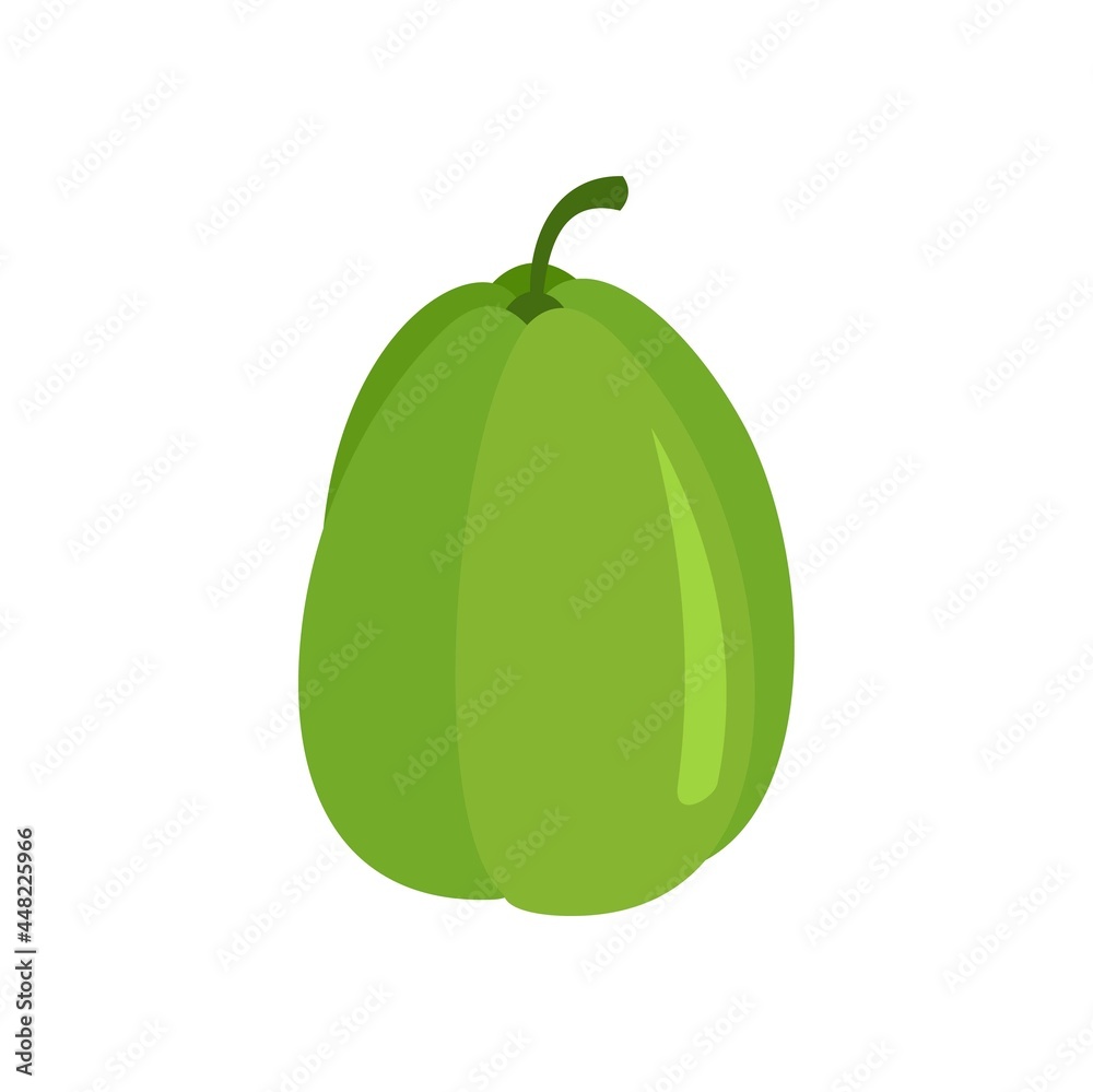 Green chayote plant icon flat isolated vector Green chayote plant icon flat isolated vector