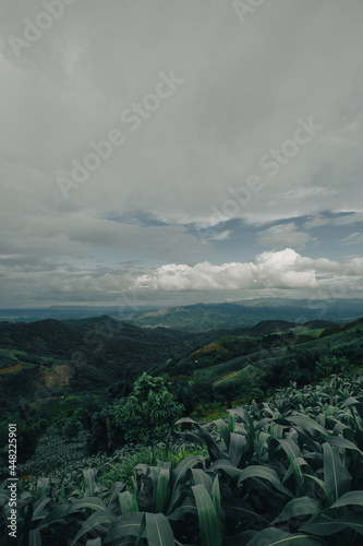 mountian of thailand forest and sky