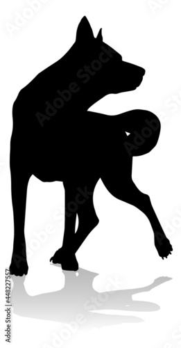 Dog Silhouette Pet Animal photo