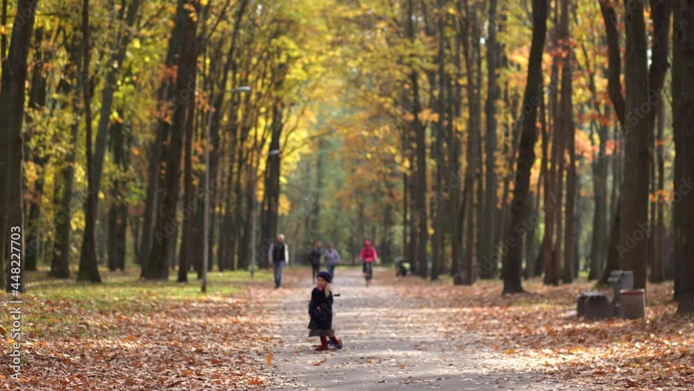 Blurry defocused people walking in autumn sunny park. Little cute child riding small old scooter in city street and picking up orange fallen leaves on warm day Blurry defocused people walking in autumn sunny park. Little cute child riding small old scooter in city street and picking up orange fallen leaves on warm day