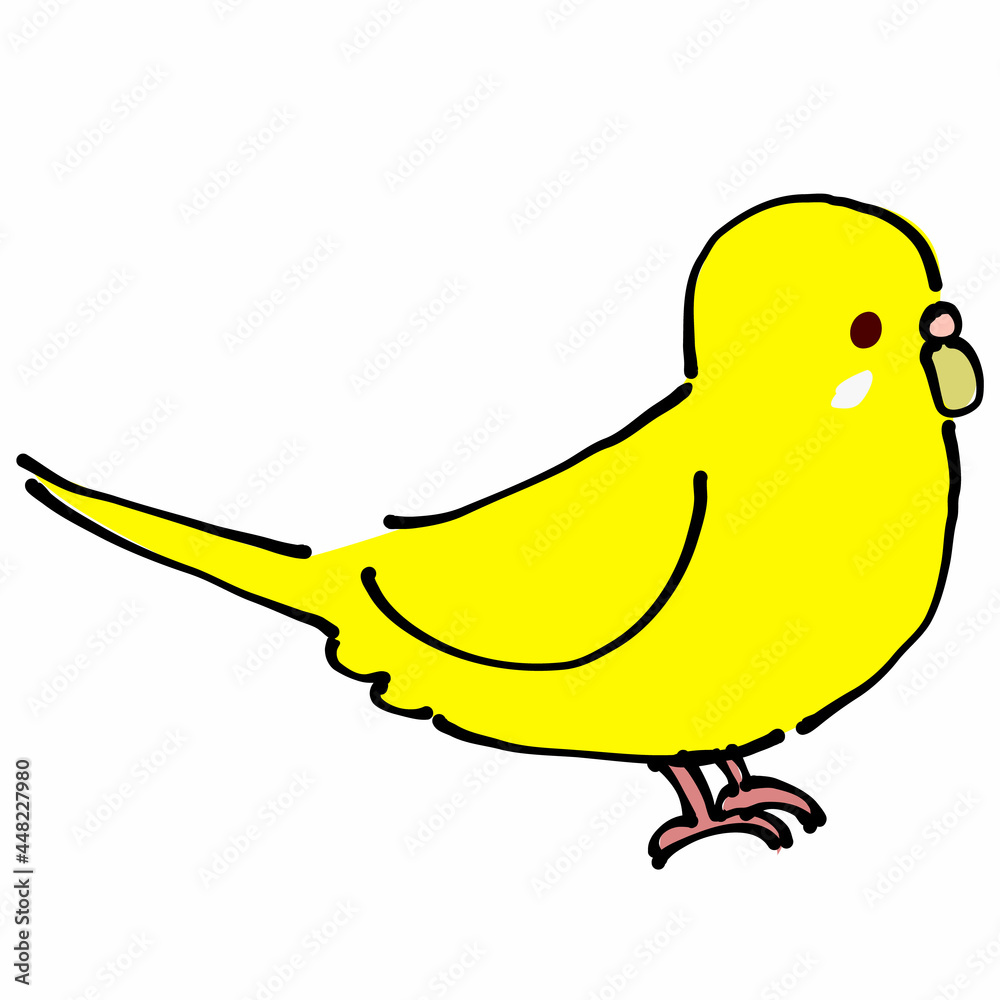 黄色のセキセイインコ 横 黄色のセキセイインコ 横