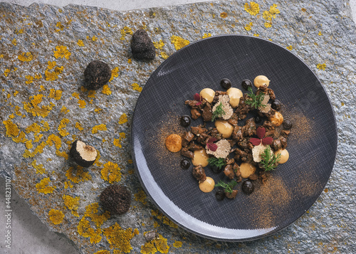 Experimental high gastronomy master piece from chef with black truffles decorated on the stone plate