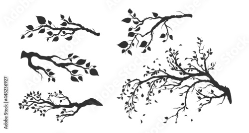 Set Tree Branches With Leaves Isolated