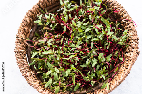 Radish microgreens