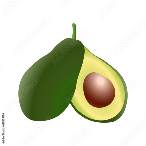 Whole and cut avocado isolated on white background. Vector illustration.