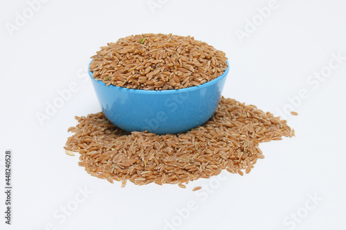 Grain of red wheat for sowing. Grain texture With Bowl photo