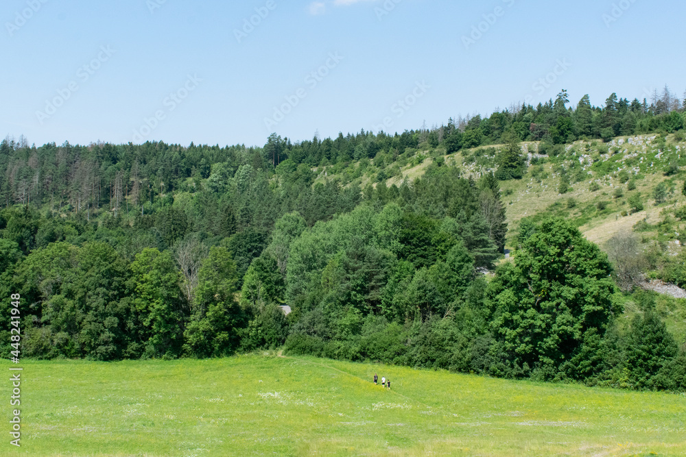Naklejka premium the main subject is out of focus, green field summer czech republic group of people walking hiking vacation trip