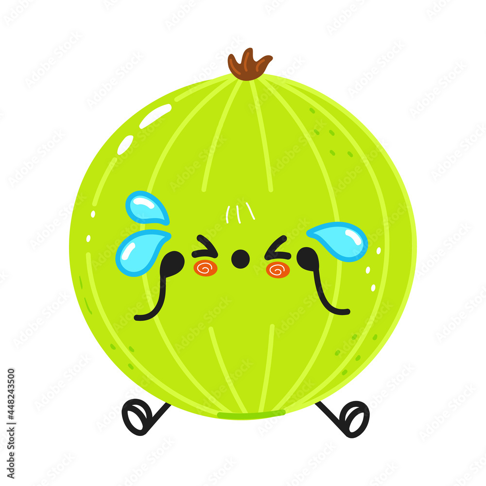 Cute sad and crying gooseberry character. Vector hand drawn cartoon kawaii character illustration icon. Isolated on white background. Gooseberry character concept Cute sad and crying gooseberry character. Vector hand drawn cartoon kawaii character illustration icon. Isolated on white background. Gooseberry character concept