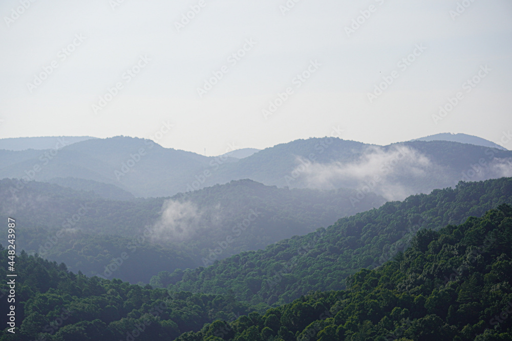 Fog rolls through the picturesque forest mountains.
