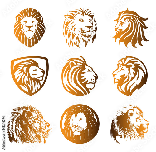  Lion head vector icon set in yellow gradient color