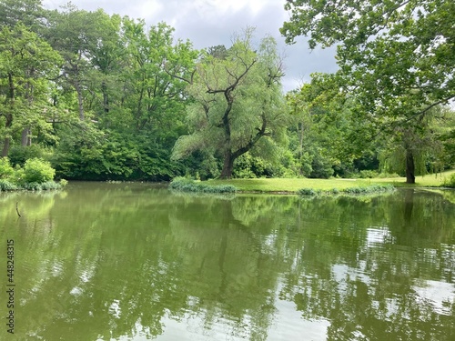 lake in the park