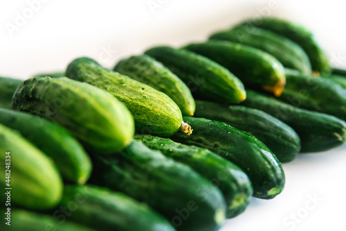 Background of green fresh cucumbers. Cucumbers lie exactly in a row on a white background. Agricultural industry.