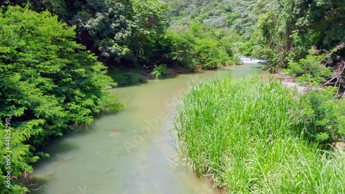 Calm natural Jimenoa River surrounded by growing plants and trees in summer. Dominican Republic,Caribbean. photo