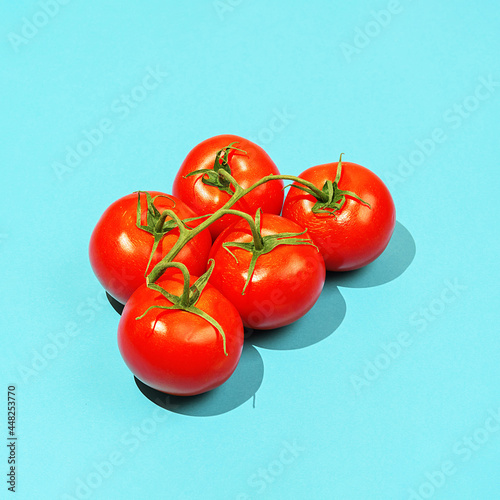 Ripe tomatoes on a branch on a blue background with sharp shadows. © Владимир Солдатов