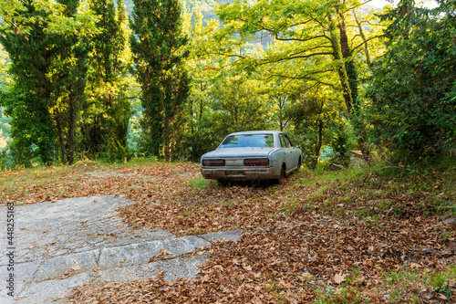 Old crashed car in the forest