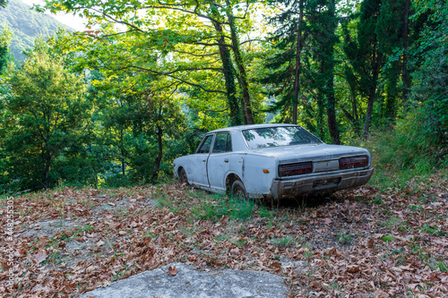 Old crashed car in the forest
