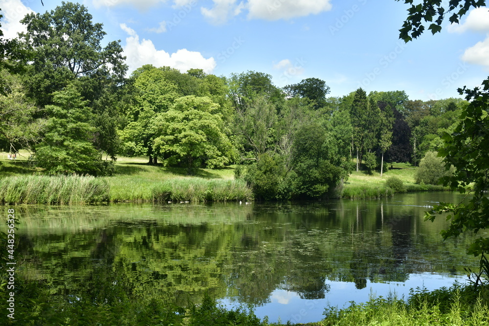 Contraste entre les zones d'ombre et sous les éclaircies au grand étang entouré de végétation luxuriante au parc de Woluwe à Woluwe-St-Pierre 