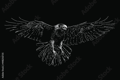 raven drawing in scratch style. vector isolated elements on the black background.
