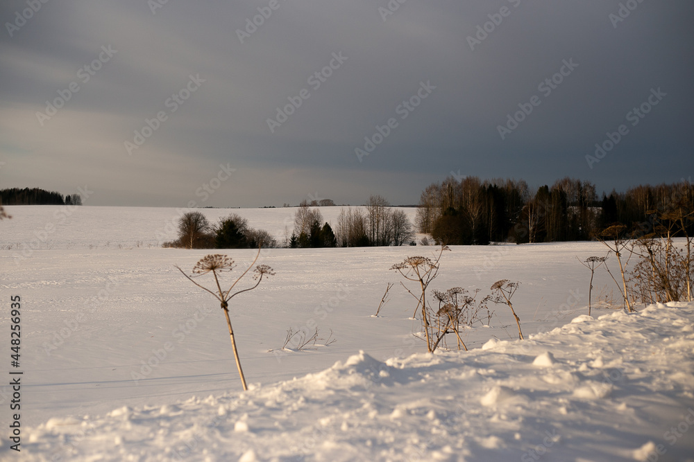 Winter landscape of snow field with snowdrift on sunset background Winter landscape of snow field with snowdrift on sunset background
