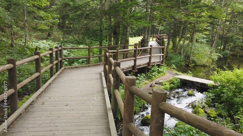 神の子池 阿寒摩周国立公園 北海道