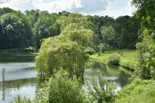 Contraste entre les zones d'ombre et sous les éclaircies au grand étang entouré de végétation luxuriante au parc de Woluwe à Woluwe-St-Pierre  photo