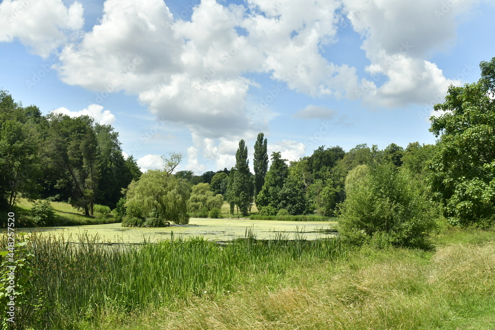 L'étang long couvert de micro-organismes en décomposition dans la vallée du parc de Woluwe à Woluwe-St-Pierre L'étang long couvert de micro-organismes en décomposition dans la vallée du parc de Woluwe à Woluwe-St-Pierre
