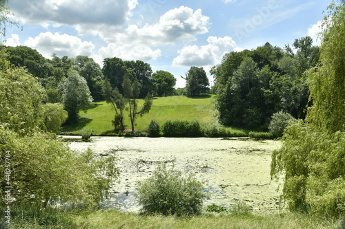 L   tang long couvert de micro-organismes en d  composition dans la vall  e du parc de Woluwe    Woluwe-St-Pierre 