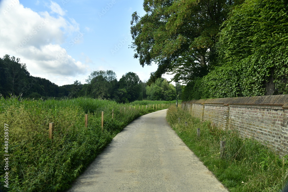 Chemin en pavés entre un vieux mur et les fougères au parc des Etangs de Boitsfort à Watermael-Boitsfort 