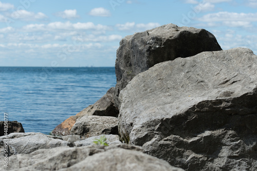 rocks on the beach