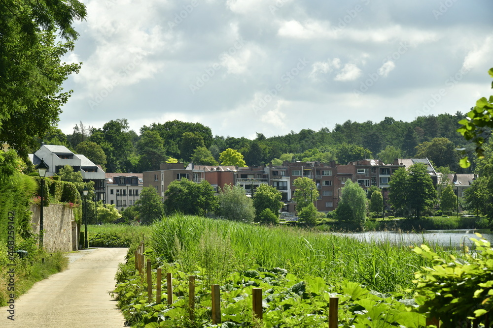 Chemin de promenade entre végétation luxuriante en été vers l'une des zones résidentielles en pleine nature ,longeant l'étang de Boitsfort à Watermael-Boitsfort 