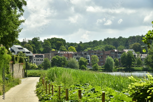Chemin de promenade entre végétation luxuriante en été vers l'une des zones résidentielles en pleine nature ,longeant l'étang de Boitsfort à Watermael-Boitsfort 