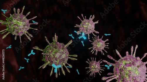 Close-up of dissolving virus under microscope. Antibodies attack and destroy the coronavirus. SARS-CoV-2 COVID-19 pandemic cure or vaccination concept. Realistic high quality medical 3D animation